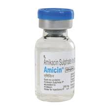 Amicin Injection